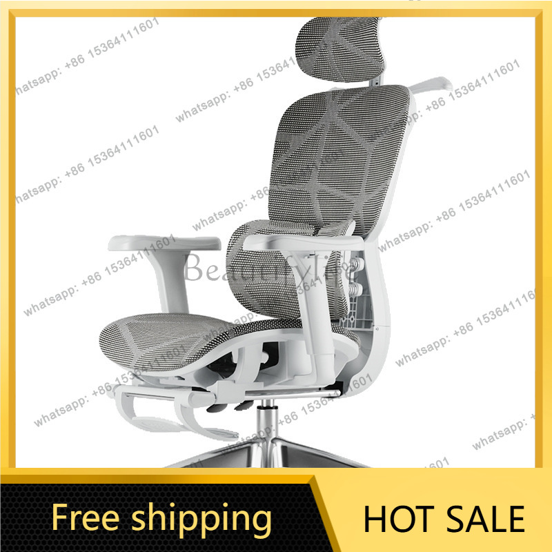Esports Gaming Furniture - LSModern Luxury Office Chairs Homestay Advanced